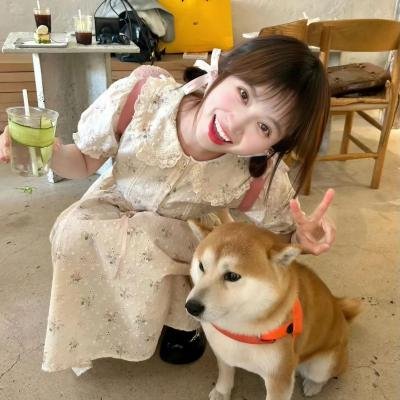 破产姐妹第六季